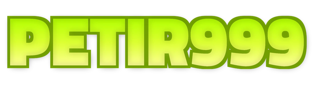 PETIR999